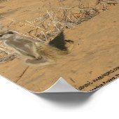 ザフルファーナッタコレクション – ファミリー ポスター (角)