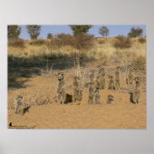 ザフルファーナッタコレクション – ファミリー ポスター (正面)