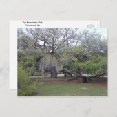 ザフレンドシップオーク1 ポストカード (正面/裏面)