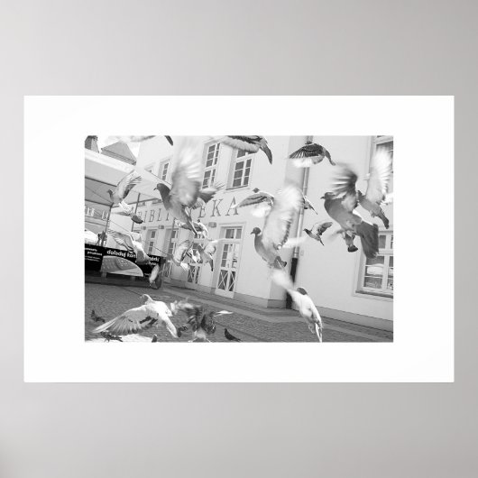 ザフロック – フレームプリント ポスター (正面)