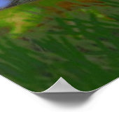 ザフロッグとカタツムリプリント ポスター (角)