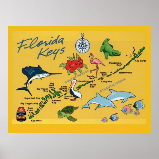 ザフロリダ鍵 ポスター (正面)