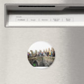 ザブキスをするラニーソーネ マグネット (インサイチュ (食洗機))