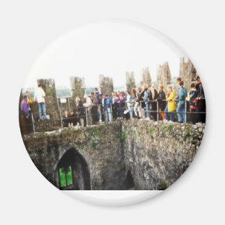 ザブキスをするラニーソーネ マグネット