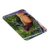 ザブグラエルクブル マグネット (右側)