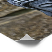 ザブッダ ポスター (角)