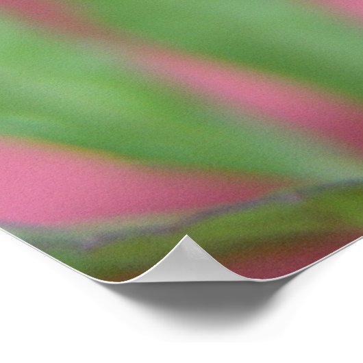 ザブド ポスター (角)