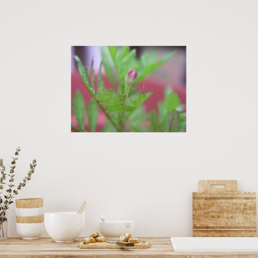 ザブド ポスター (キッチン)