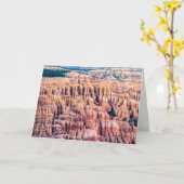 ザブライスキャニオン国立公園-ユタ州 カード (黄色い花)