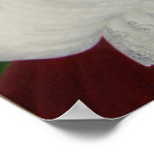 ザブライド ポスター (角)