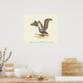 ザブラウンペリカン(Pelecanus occidentalis) NY鳥 ポスター (キッチン)