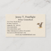 ザブラウンペリカン(Pelecanus occidentalis) NY鳥 名刺 (裏面)