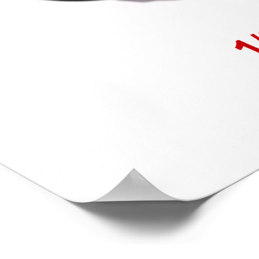 ザブラザー落ちた ポスター (角)