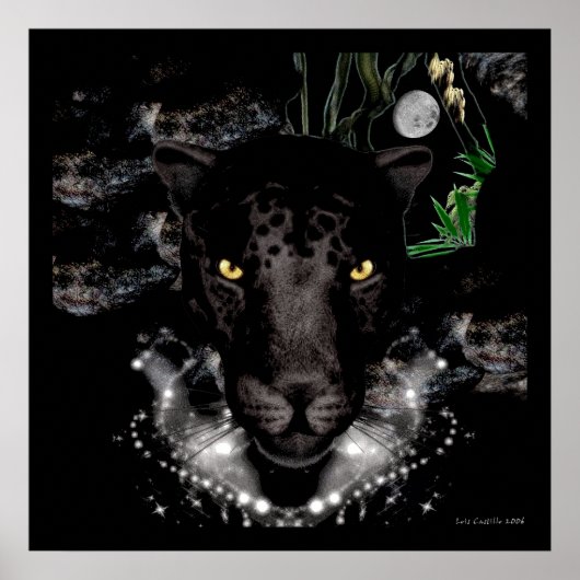 ザブラックヒョウ ポスター (正面)