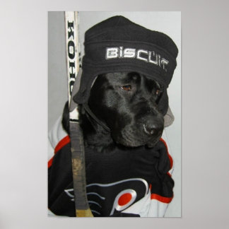 ザブラックビスケットチラシのポスター ポスター