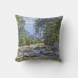 ザブラックルトシーナ（バイフェルディナンドホドラー） クッション