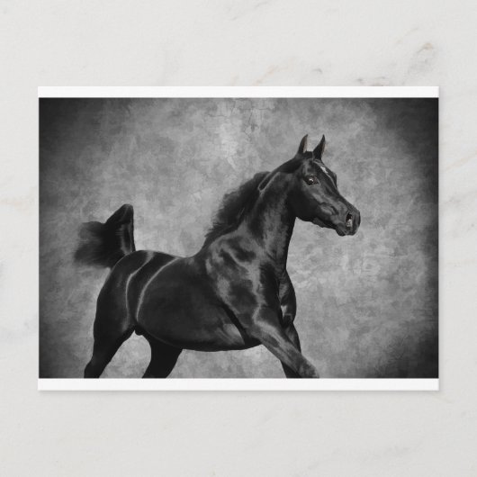 ザブラック ポストカード (正面)