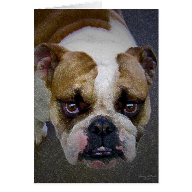 ザブルドッグ (正面)