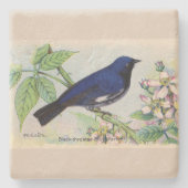 ザブルーウォーブラーストーンコースター ストーンコースター (正面)