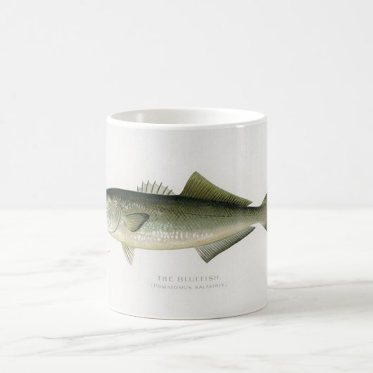 ザブルーフィッシュ・フィッシャーマンズマグ コーヒーマグカップ (中央)