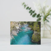 ザブループールニュージーランド – ポストカード (スタンド正面)