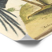 ザブルーヘロンプリントバイマークカテスビー ポスター (角)