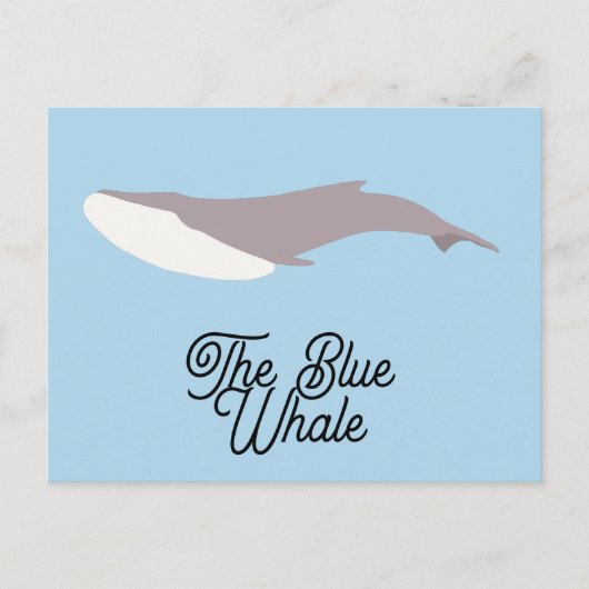ザブルーホエールカラーブロック シーズンポストカード (正面)