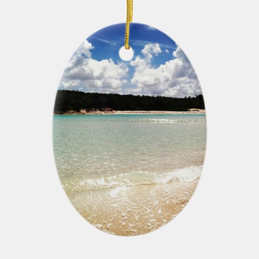 ザブルーラグーン セラミックオーナメント (正面)