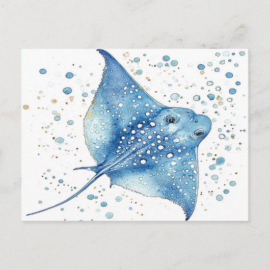 ザブルーレイ ポストカード (正面)