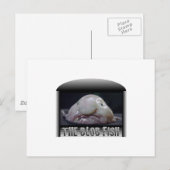 ザブロブ魚 ポストカード (正面/裏面)