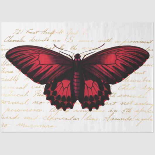 ザブーケシリーズデザイン139 薄葉紙 (正面)