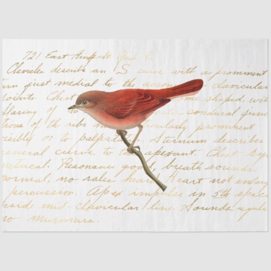 ザブーケシリーズデザイン140 薄葉紙 (正面)