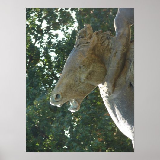 ザプラザファウンテンホース ポスター (正面)