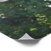 ザプラザファウンテンホース ポスター (角)