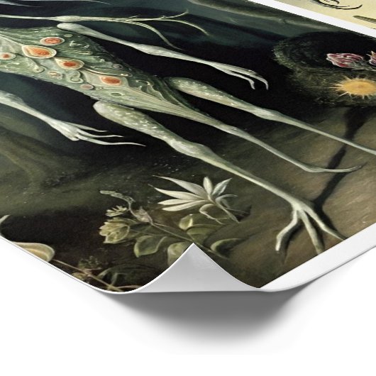 ザプランター ポスター (角)