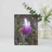 ザプリックリーパンク ポストカード (スタンド正面)