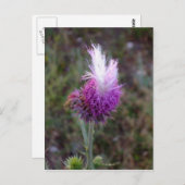 ザプリックリーパンク ポストカード (正面/裏面)