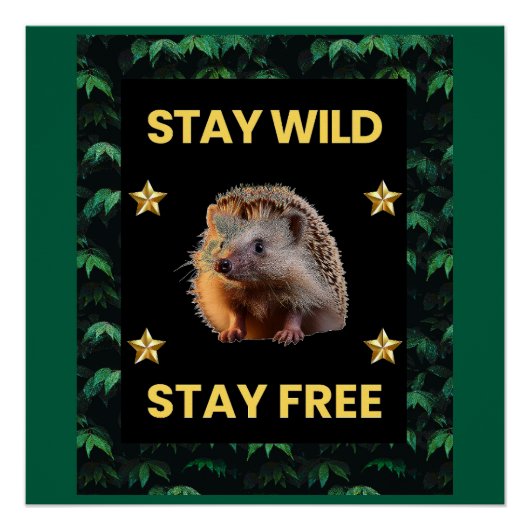 ザヘッジホッグステイワイルドステイフリー ポスター (正面)