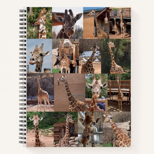 ザヘルドノート ノートブック (正面)