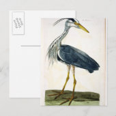 ザヘロン(Ardea cinerea)プレート（イギリス） ポストカード (正面/裏面)