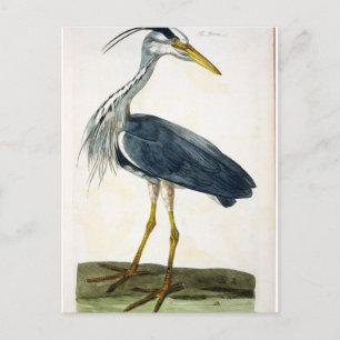 ザヘロン(Ardea cinerea)プレート（イギリス） ポストカード