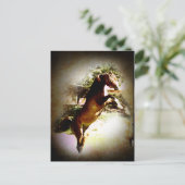 ザベイ子馬 ポストカード (スタンド正面)