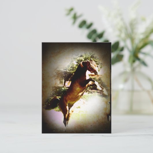 ザベイ子馬 ポストカード (スタンド正面)