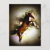 ザベイ子馬 ポストカード (正面)