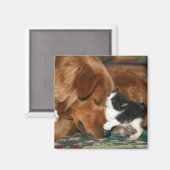 ザベビーシッター マグネット (正面/裏面)