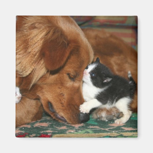 ザベビーシッター マグネット (正面)