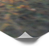 ザベンチ ポスター (角)