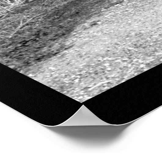 ザベンチ ポスター (角)