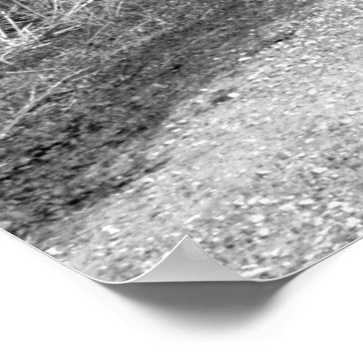 ザベンチ ポスター (角)