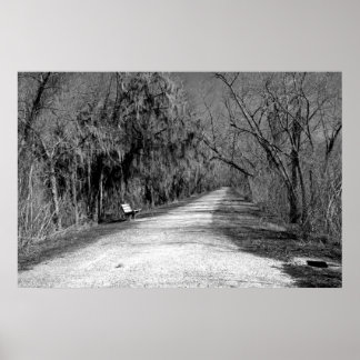 ザベンチ ポスター